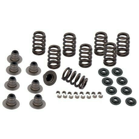 Heavy Duty Valve Spring Kit for 2017-'23 M8 Models 0926-2972 900-0958