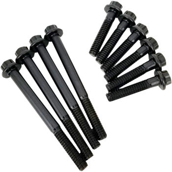FEULING PARTS 2401-0993 8022 Cam Plate and Oil Pump Fastener Kit Fastener Kit - HP+/Race Series - M8